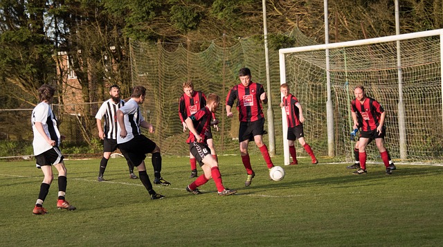 无论是在进 无论是在进