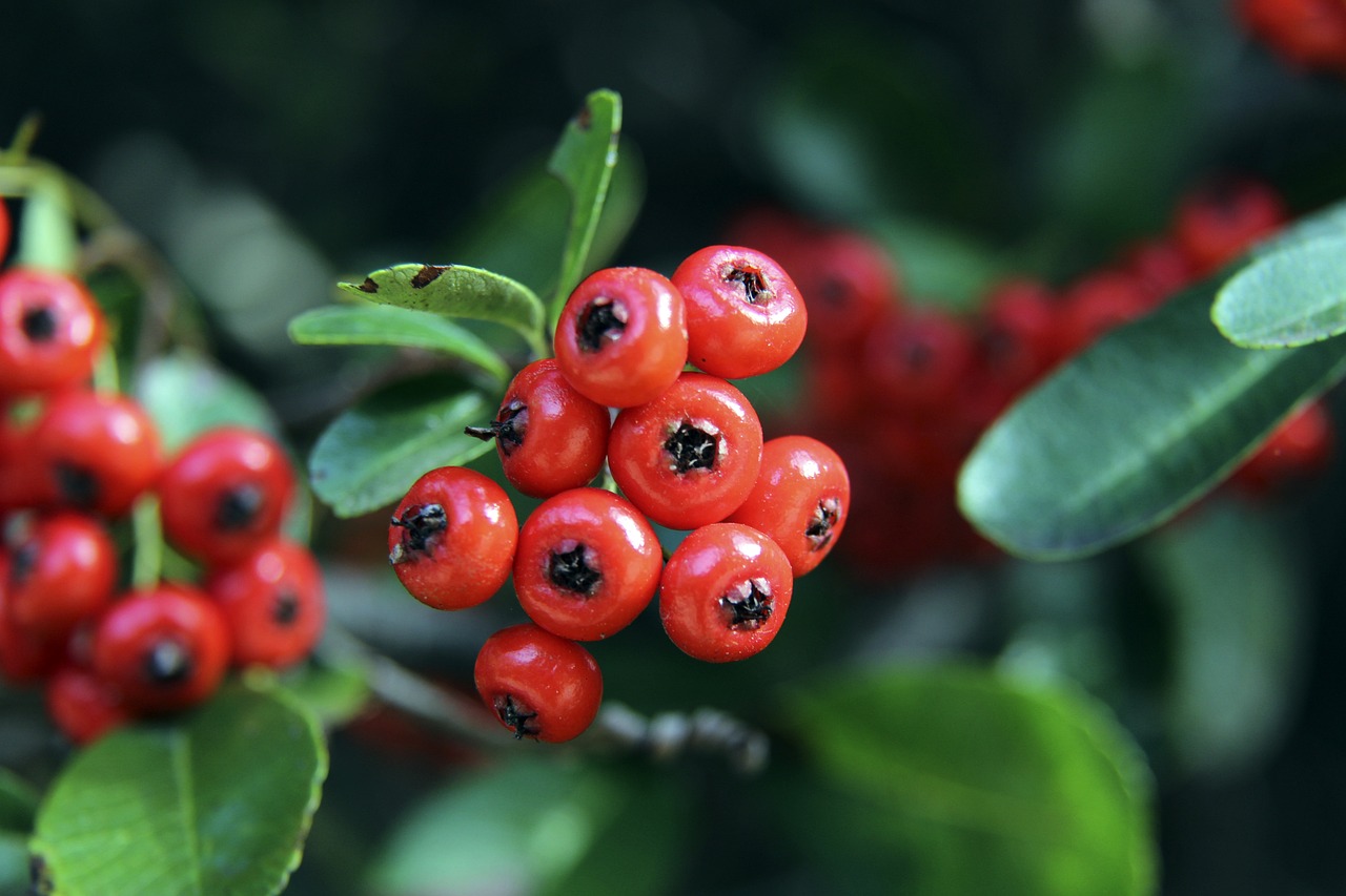 在总结过往 在总结过往