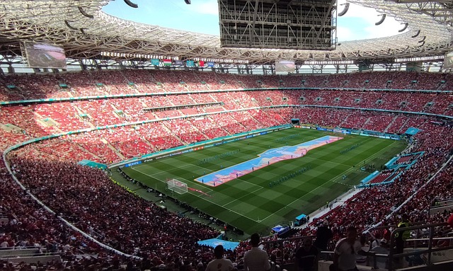 球队现有人 球队现有人